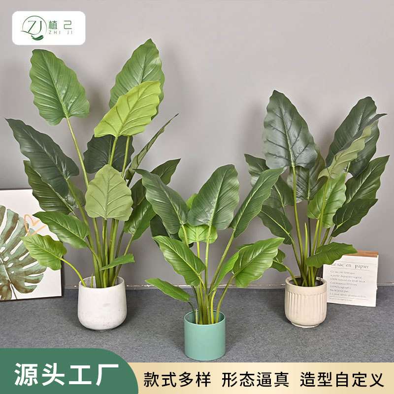 仿真绿植绿帝王轻奢家居室内客厅商场大型落地装饰植物盆景摆件树