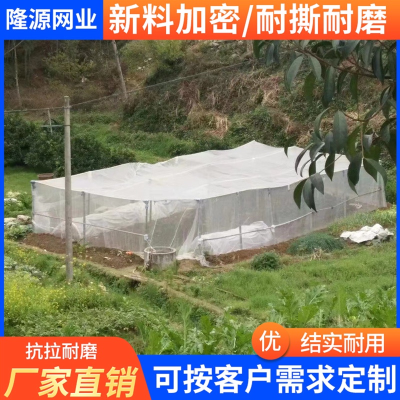 防虫网纱网大棚蔬菜果树网罩养殖围栏网猪场防蚊加厚网