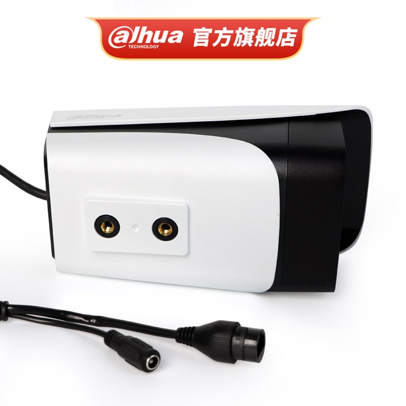 大华400万网络摄像头星光夜视摄像机室外监控DH-IPC-HFW2433DM