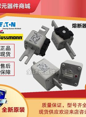 170M1571 170M3808 170M3812 170M3818 170M4258 170M4263熔断器.