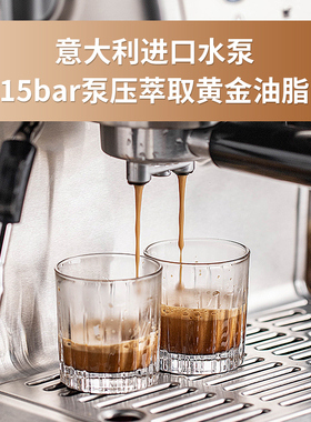 德龙Ariete阿里亚特意式全半自动咖啡机小型家用蒸汽奶泡机半商用