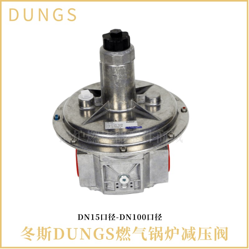 德国DUNGS燃气减压阀FRS505 FRS510 FRS520 503P 507 FRS515调压