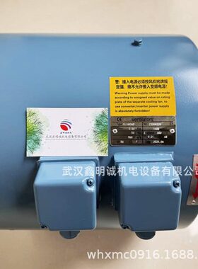 变频电机Ventilators散热风机冷却风机G-160AB IP56双接线盒