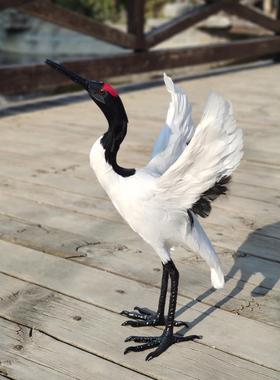 白鹤摆件白鹤摆件白鹤摆件白鹤摆件白鹤摆件真羽工艺品