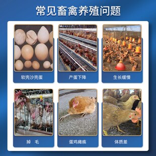 袋装华畜鱼肝油兽用鸡鸽狗宠物电解多维啄羽芦丁鸡蛋多多鱼油