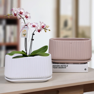 简约白色蝴蝶兰花盆陶瓷兰花绿植长方形竖条纹客厅阳台大号家用盆