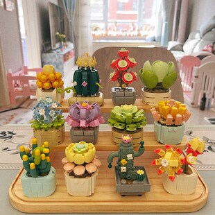 山姆费米治愈多肉积木12种不同植物带展示架+防尘罩diy拼搭