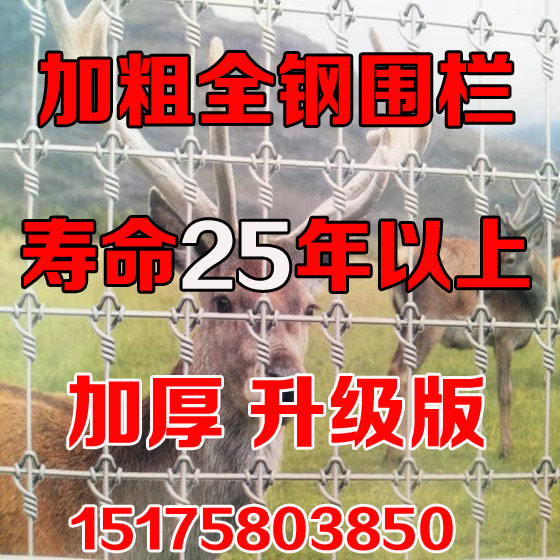 镀锌牛栏网铁丝网围栏钢丝网户外拦牛羊养殖网养鸡围养网防护栅栏