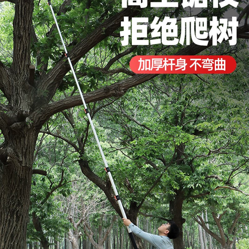 德国原装伸缩高枝锯锯树锯子加长杆手锯高空修剪树枝专用锯神