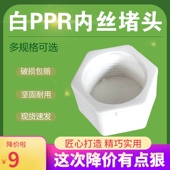 水管管堵管帽 4分6分1寸 六角内牙管帽 PPR六角堵头 塑料内丝堵头