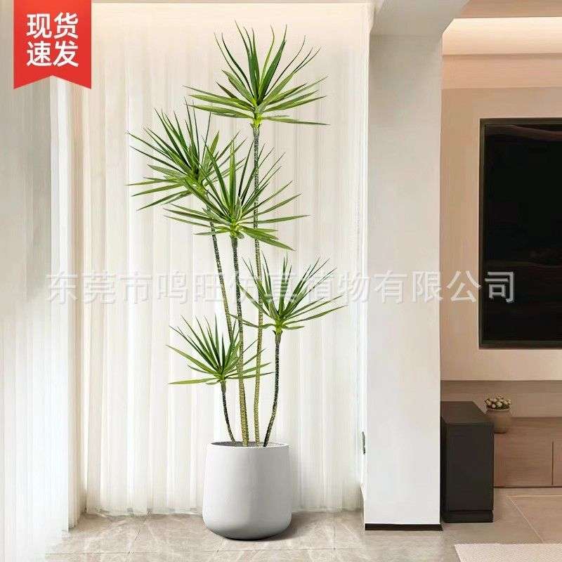 大型植物盆栽仿真龙舌兰家居装饰摆件盆栽假树绿植龙血树落地盆景