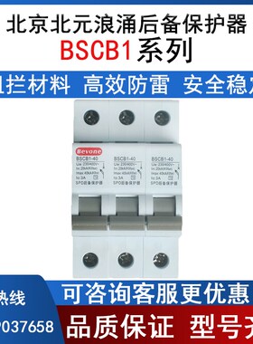 北京北元电器BSCB1-100后备浪涌保护器家用防雷器20 40kA电涌保护