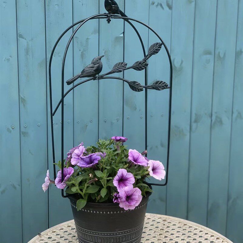 爬藤架子花支架月季花架植物盆室内花卉支撑杆园艺铁线莲攀爬