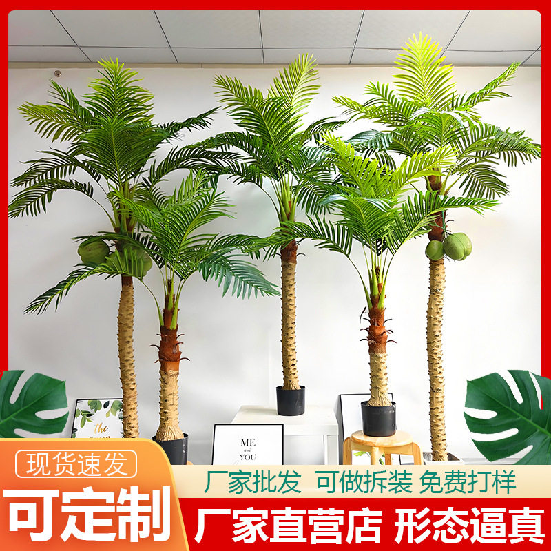 仿真棕扇葵椰子树室内盆景装饰散尾葵橱窗装饰厂家批发针葵
