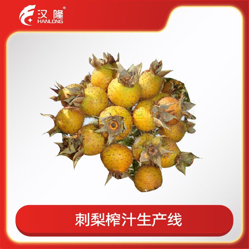 厂家直供大小型刺梨汁浓缩设备刺梨原浆饮料加工榨汁生产线流水线