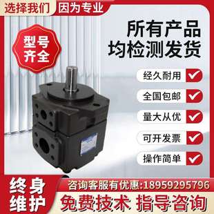 43油泵PV2R1 RAA 日本YUKEN油研叶片泵PV2R2