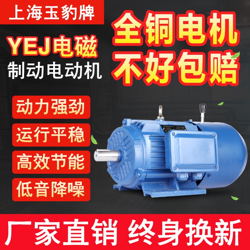 铜芯Y2EJ电磁制动三相异步电动机380V失K电刹车电机铜线马达带抱