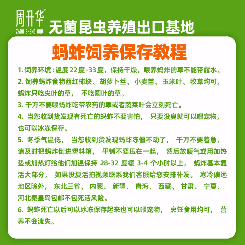 无菌活虫蚂蚱新鲜蝗虫蚱蜢宠物画眉鸟龟守宫鬃狮蜥蜴蜘蛛树蛙食物,宠物/宠物食品及用品,爬虫/鸣虫食物,淘宝优惠券,粉丝福利购,淘宝优惠卷