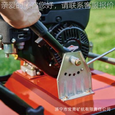 梳草机透气梳机草梳理40566枯草厂家直式销园林梳草自走刀草坪机