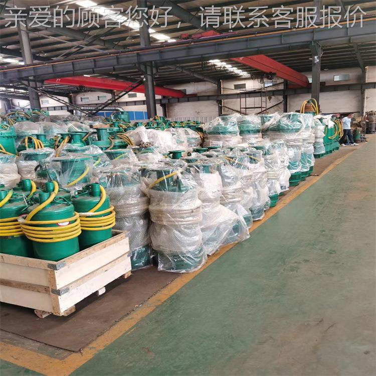 BQS20 0-60-55/N潜水泵高849扬程 功率大 BS排沙排Q污潜水泵