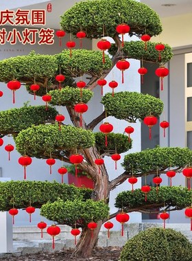 挂树上的小灯笼春节氛围布置新年树挂红色植绒迷你绿植盆景小挂饰