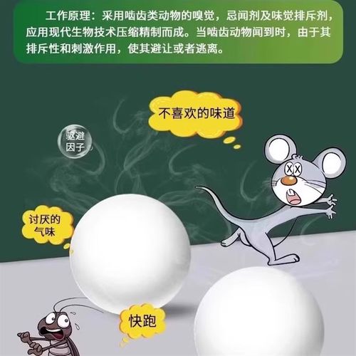 汽车防鼠神器发动机舱仓防老鼠专用车载驱赶N樟脑球小车内驱鼠臭