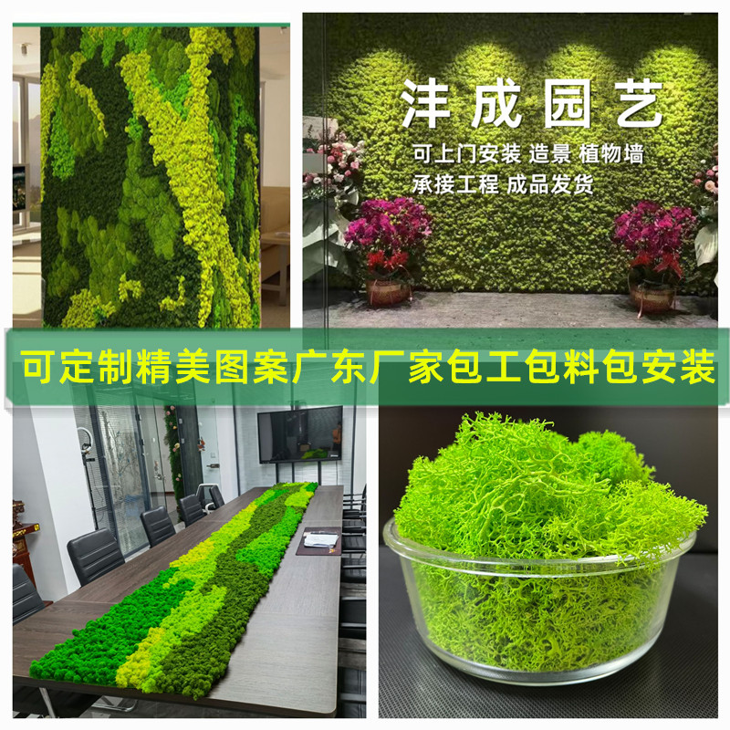 鹿角藓白发苔藓仿真植物墙装饰造景永生苔藓墙面假青藓材料微景观