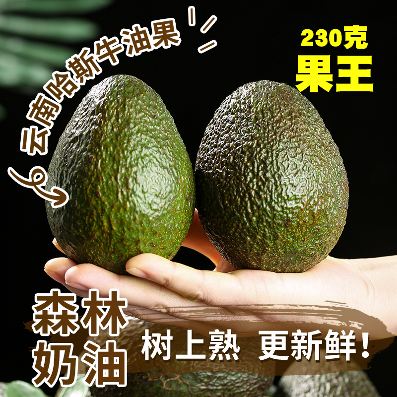 国产云南孟连哈斯牛油果新鲜水果官方旗舰店即食鳄梨熟大果奶油味