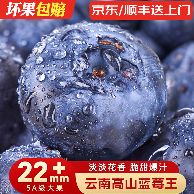 正宗云南蓝莓新鲜水果当季蓝梅鲜果现摘高山孕妇大果整箱京东包邮