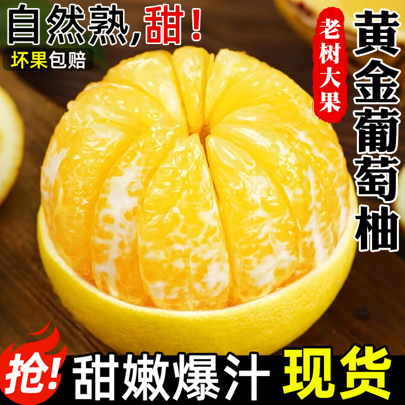 福建黄金葡萄柚新鲜水果应季时令柚子黄皮柚清甜多汁孕妇水果包邮