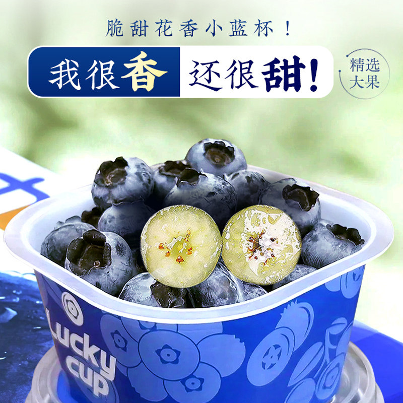 【超甜脆】云南高山花香蓝莓鲜果当季杯装新鲜小蓝杯礼盒luckycup