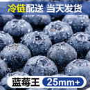 包邮 云南蓝莓新鲜水果当季 蓝梅鲜果现摘高山怡颗孕妇大果整箱顺丰