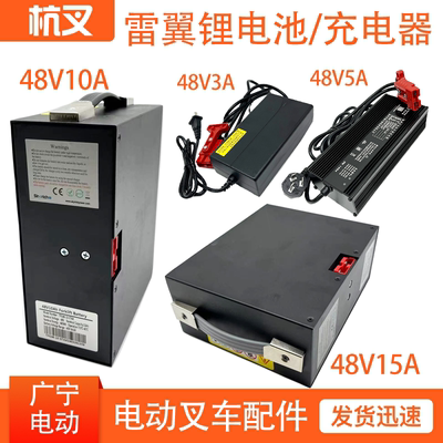 杭叉雷翼锂电池充电器48V