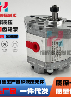 Hengyuhang齿轮泵1PUF0.26DC0A1Z0替代MARZOCCHI马祖奇0.25D 0.5D