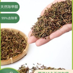 修家用除味茶梗散装 10斤铁观音茶叶梗去甲醛装 茶叶枝吸甲醛新房车