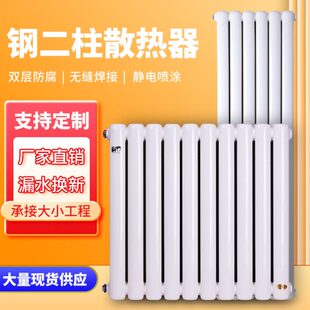 集中供热客厅卧室立式 家用暖气片钢制二柱大水道壁挂式 水暖散热片