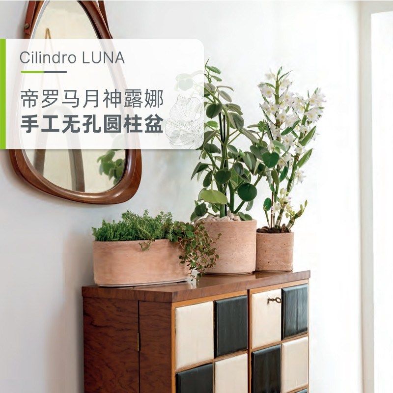 帝罗马白陶国际陶盆大小口径合集朱顶红花卉透气大号迷你花盆瓷