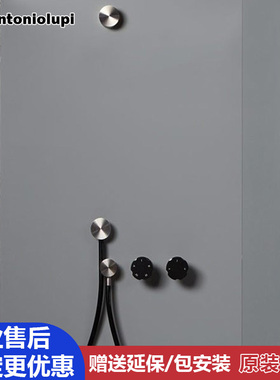 AntonioLupi安东尼奥卢比暗装入墙式手持花洒淋浴Filo e Filtro