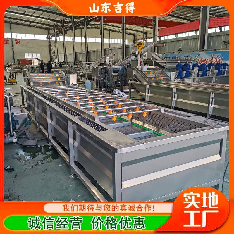 香菇蔬菜鼓泡式洗菜机蓝莓气泡清洗机玉米臭氧气泡清洗设备