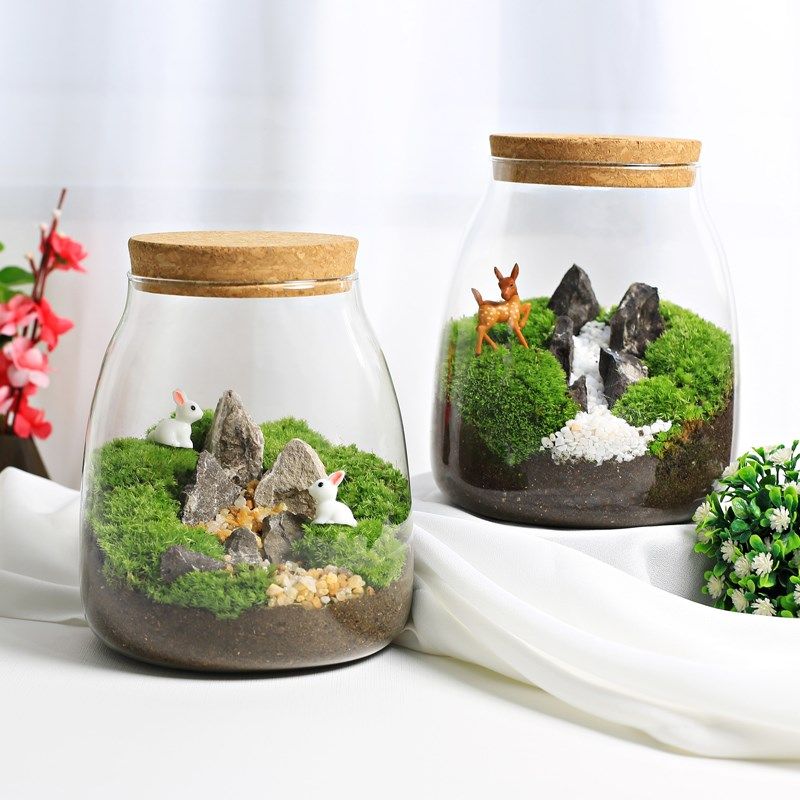 大号水滴苔藓植物盆栽微景观生态瓶 室内桌面趣味微型创意DIY绿植