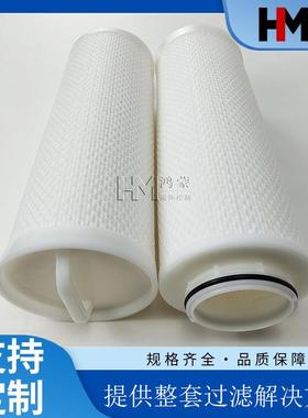 反渗透化学清洗过滤器20寸大流量滤芯PF005-20650N精度5μm