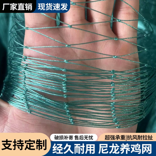 常规款12股大棚家禽养殖网菜园网果园网拦鸡鸭鹅护栏网养鸡围栏网