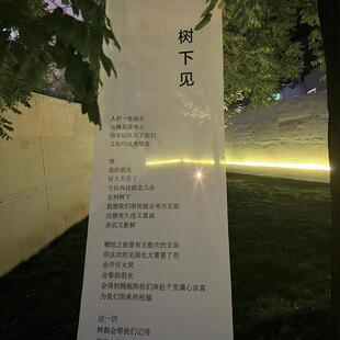 音乐会装饰半透纱户外森系挂布树下见舞台布幔田园草坪拍照布置
