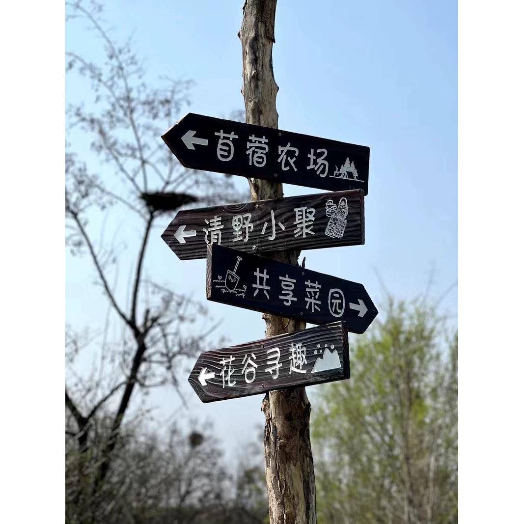 热卖户外防腐导向牌箭头指路广告分流指引牌路标牌指示木牌定制牌