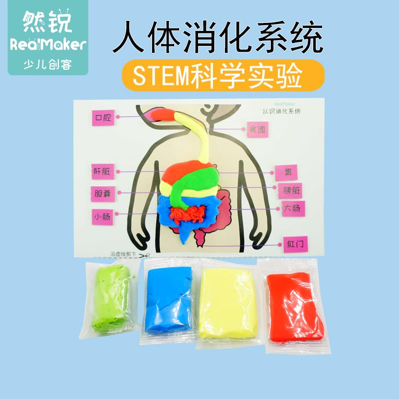科技小制作stem科学实验小学生DIY内脏拼图材料人体消化系统教具