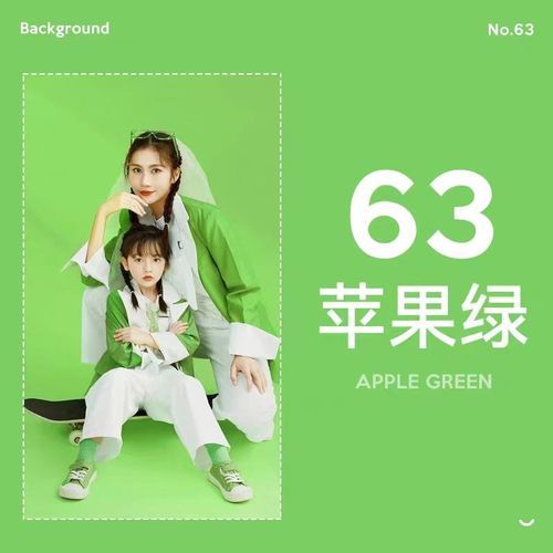 影得丽纯色背景纸拍照摄影背景布影楼婚纱单色纸2米拍摄背景纸