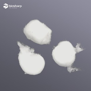 500g 科研实验卫生消毒棉球干棉花球 包 脱脂棉球 Biosharp白鲨