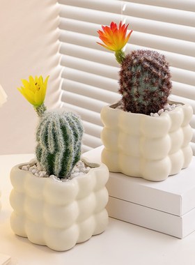 仿真多肉小盆栽仙人球客厅室内仿生绿植办公室桌面工位装饰品摆件