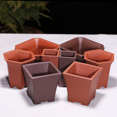 多肉菖蒲盆栽绿植盆景手工方形微型盆景花卉植物紫砂拇指花盆