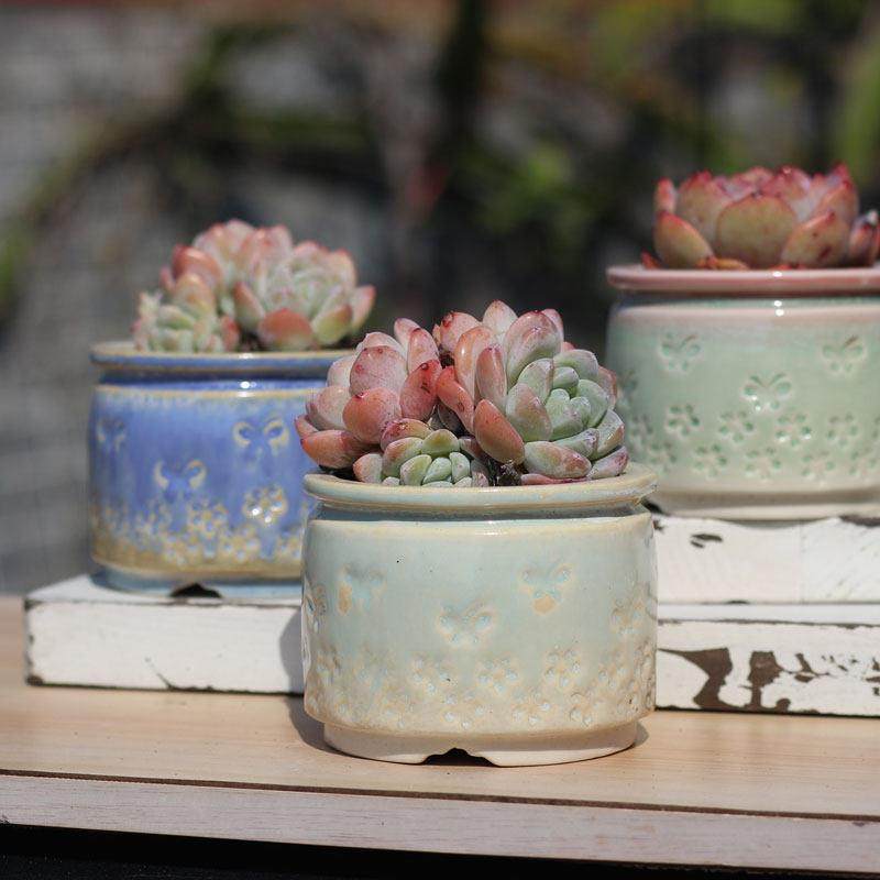 多肉植物花盆新款手工雕刻印章蝴蝶窑变流釉直筒控型小老桩盆桌面,家居饰品,花盆,淘宝优惠券,粉丝福利购,淘宝优惠卷